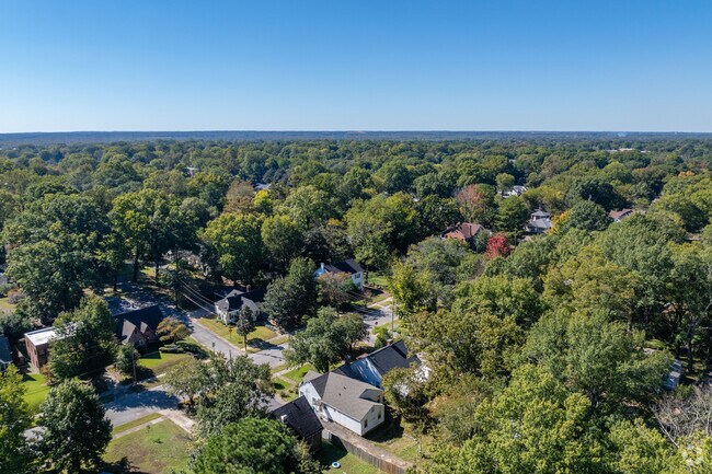 Hicksville is a heavily wooded area located in Jackson, Tennessee.