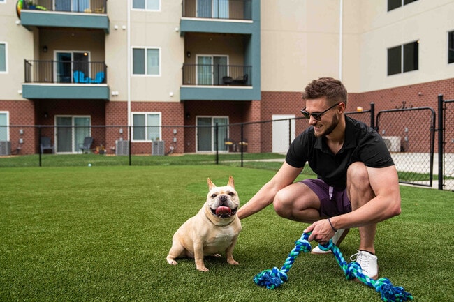 Crescent Falls, Joplin, MO 64804 - photo 3