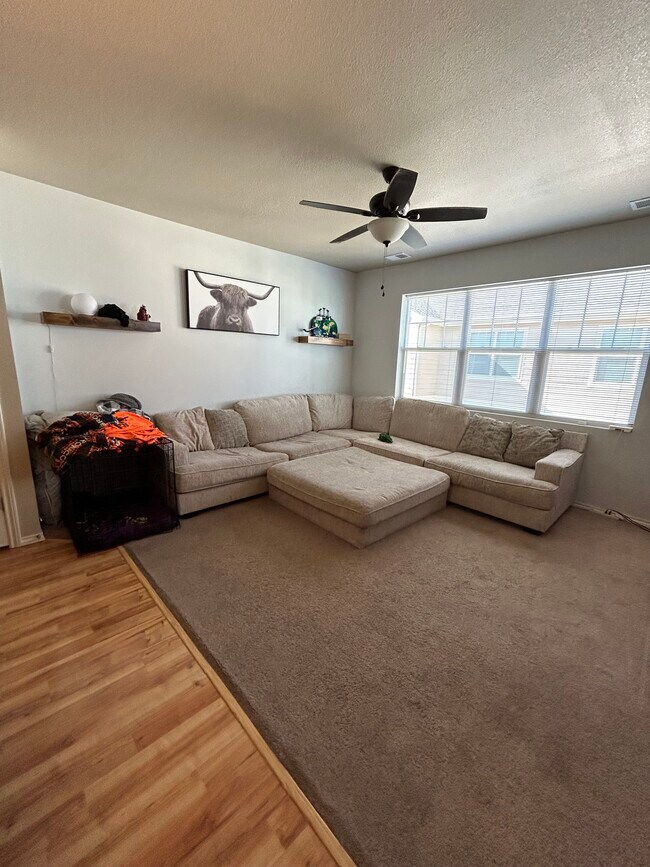 6915 W 3rd St unit 420, Greeley, CO 80634 - photo 4