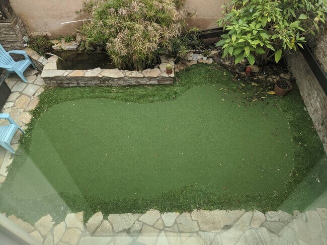 Back yard- common space