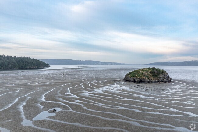 Shelter Bay residents admire the circular patterns when the tide is out at Martha's Beach.