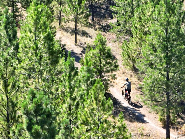 Beattie Street Trailhead snakes all the way up Mount Ascension.