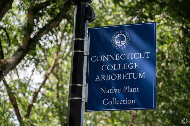 The Connecticut College Arboretum is the perfect afternoon getaway to a quite spot in Phillips.