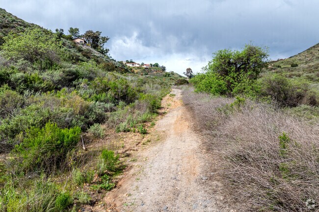 There are a number of hiking trails in Jesmond Dene.
