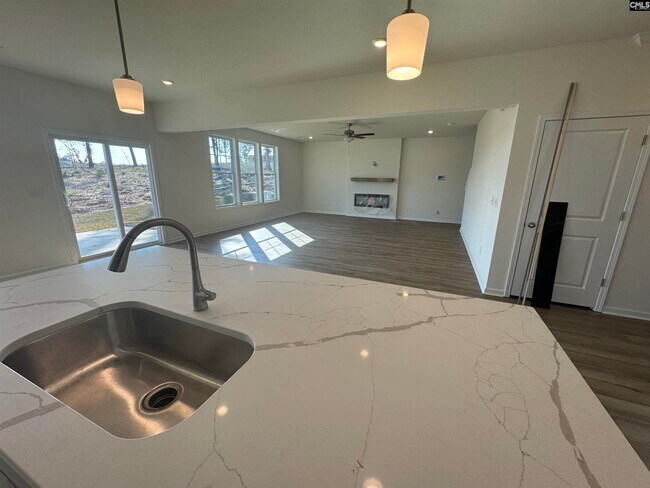 555 Griffon Dr, Chapin, SC 29036 - photo 5