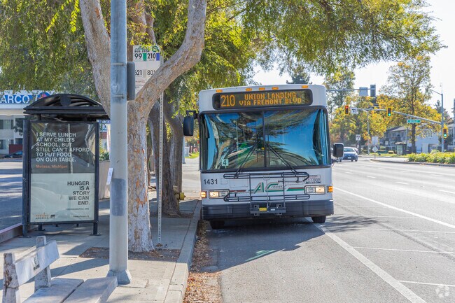 Brookvale is served by AC Transit bus lines.