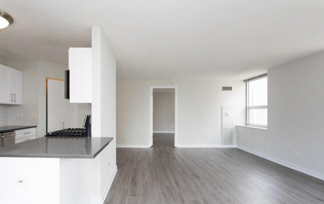 526 N Dearborn Pkwy, Chicago, IL 60610 - photo 4