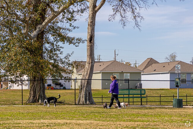 Dogs can run off-leash at Jambalaya Park’s dog park.