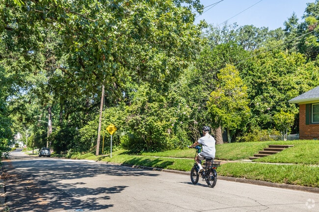 Ride your bike along the peaceful streets of Lafayatte Park in Tallahassee.