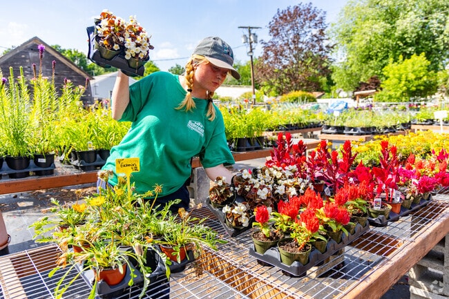 Huberman's Flowers offers a wide variety of bright and colorful flowers and plants for residents in the Pleasant Hills neighborhood of Saugus, MA.