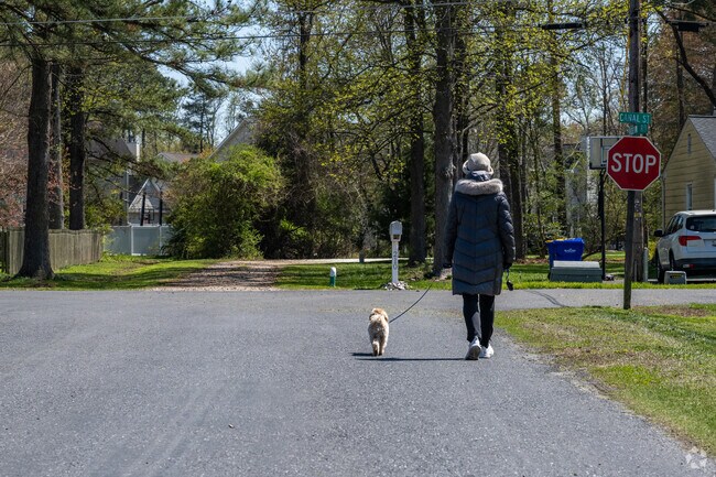 Take your dog for a walk in the Grasonville neighborhood.