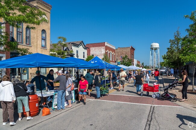 Walk the historic main street during Blooming Fest in West Chicago.