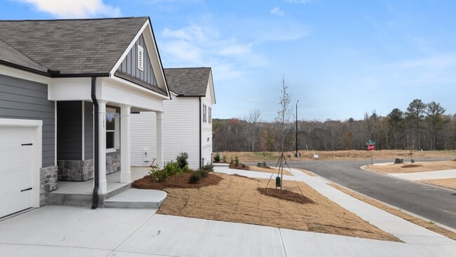 125 Cyrilla Walk, Dallas, GA 30132 - photo 5