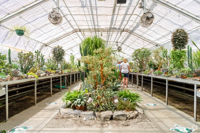 Visitors can walk around the large greenhouse at the Gaiser Conservatory.