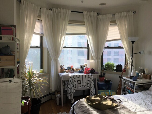 1021 Tremont St unit 3, Boston, MA 02120 - photo 2