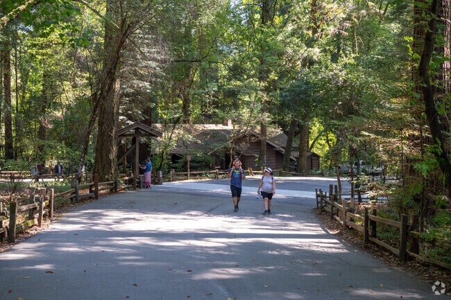 Henry Cowell Redwoods in Felton spans 4,600 acres with redwood groves, hiking trails, campsites, and bike paths for year-round outdoor adventures.
