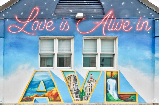 Asheville is a haven for artists and creatives, as evidenced by the murals all over town.