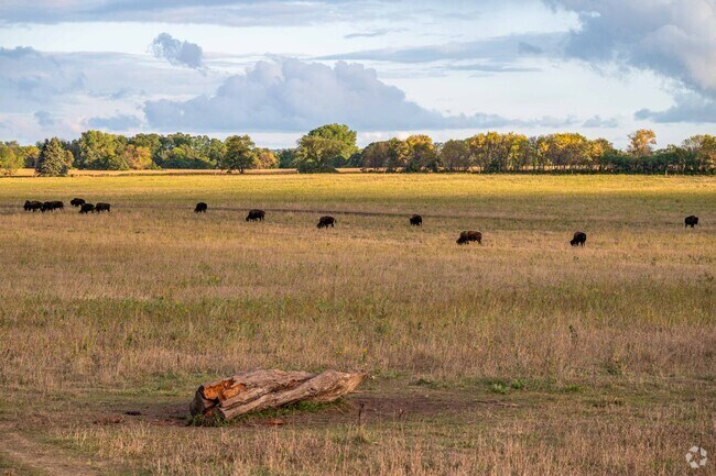 A Bison herd can be seen at Belwin Conservancy in West Lakeland from May-September.