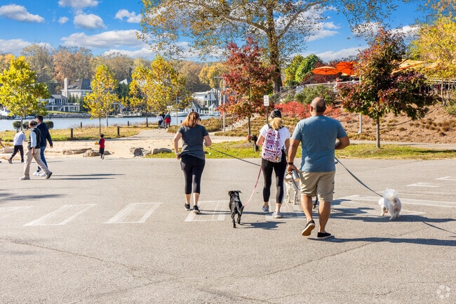 Loving paws, joyful walks. Embrace the bond with our furry friends in Laurel Hill.