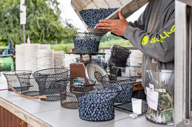 Taste the freshness from Tulare County’s bountiful and local fruit orchards.