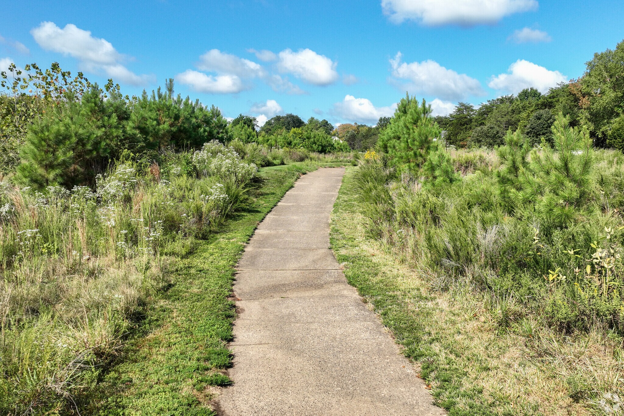 Residents will enjoy the scenic walking trails at Virginia Oaks Trails in Broad Run Oaks.