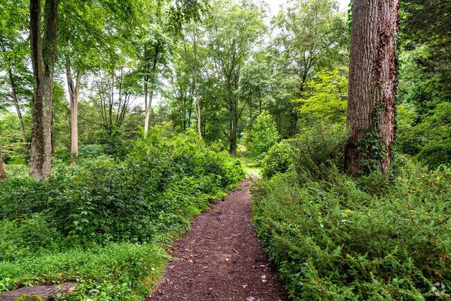 The Connecticut College Arboretum in Northwest New London offers a private oasis in the city.
