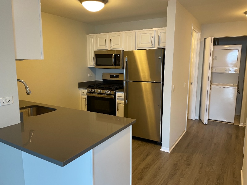 551 N State St, Chicago, IL 60654 - photo 1