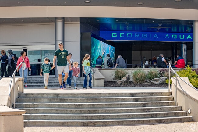 Bring the family out for a day at the Georgia Aquarium, near Centennial Hill.