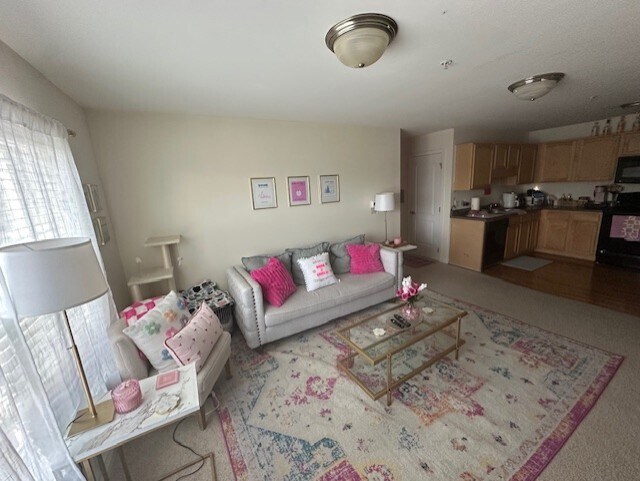 Turtle Creek West Apartments, Boone, NC 28607 - photo 4