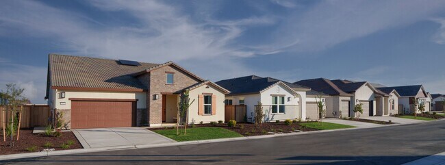 Lazio at Heritage Placer Vineyards streetscape