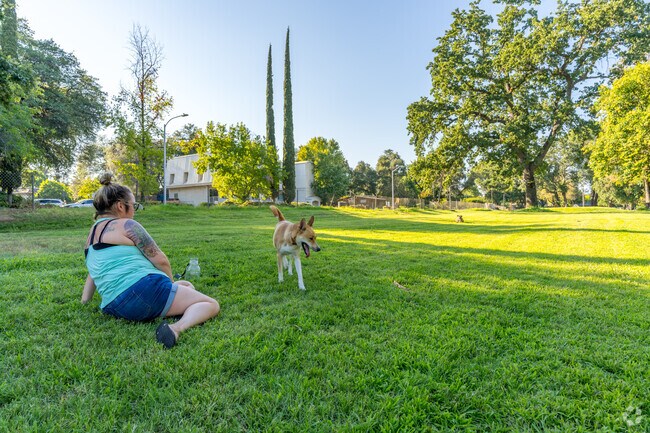 Kutras Park provides a green space for residents and their dogs.