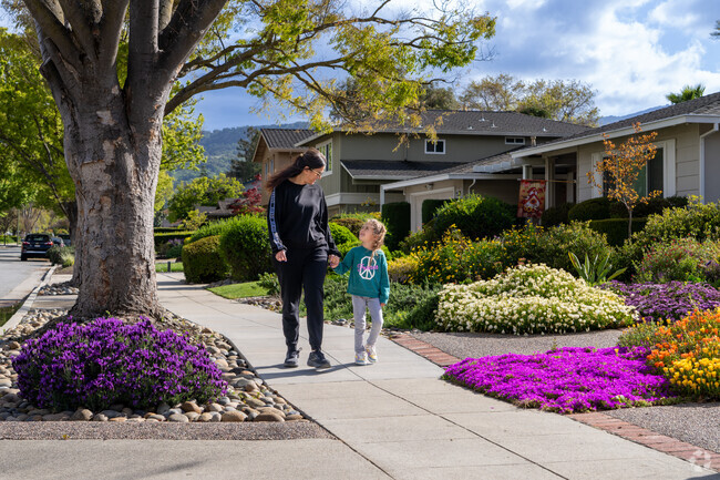 Colorful front yards and walkable streets make Shadow Brook II perfect for relaxed family strolls.