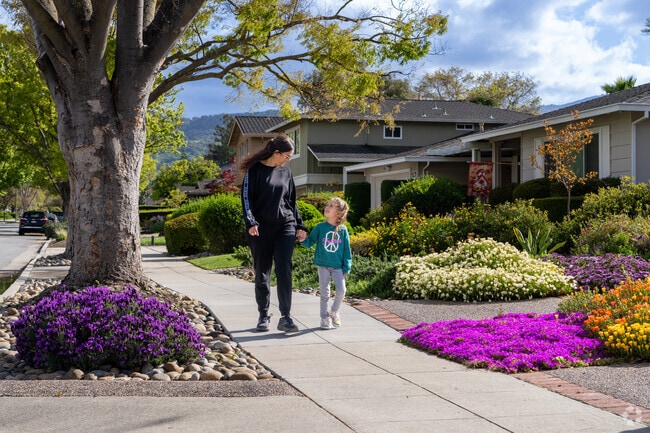 Colorful front yards and walkable streets make Shadow Brook perfect for relaxed family strolls.