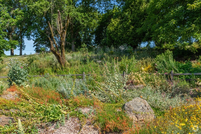 A lush nature patch climbs the hillside at Overlook Park in Portland, Oregon.