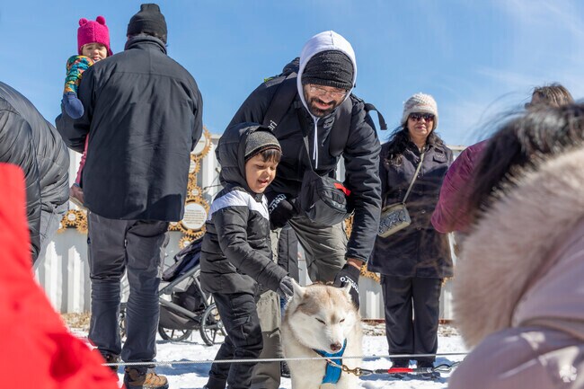 Calumet families can meet and pet a real sled dog at Polar Adventure Day.