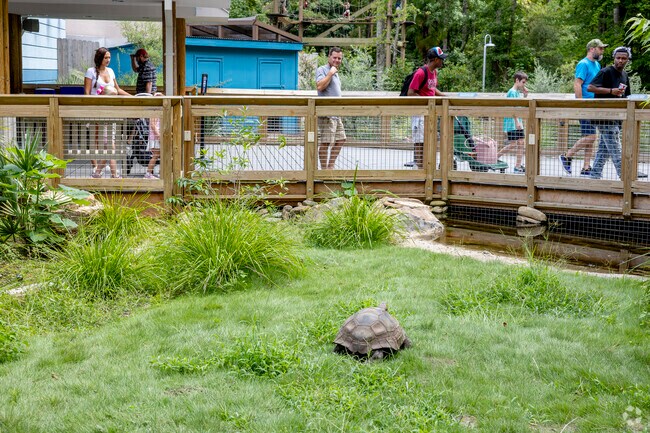 Woodfield residents are only a 12-mile drive from Columbia's Riverbanks Zoo & Botanical Gardens.