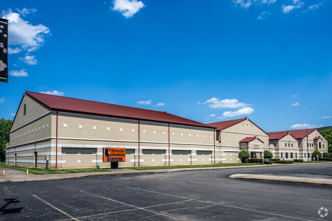 Both boys and girls participate at a high level in sports and activities at Wellsville Jr./Sr. High School.