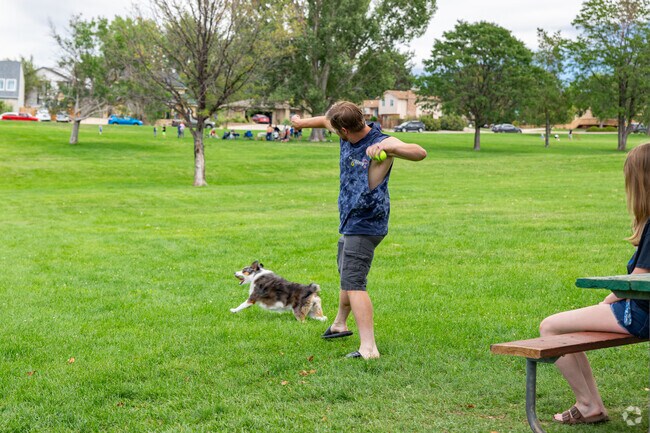 University residents love to spend the day at the park exercising with their beloved pets.