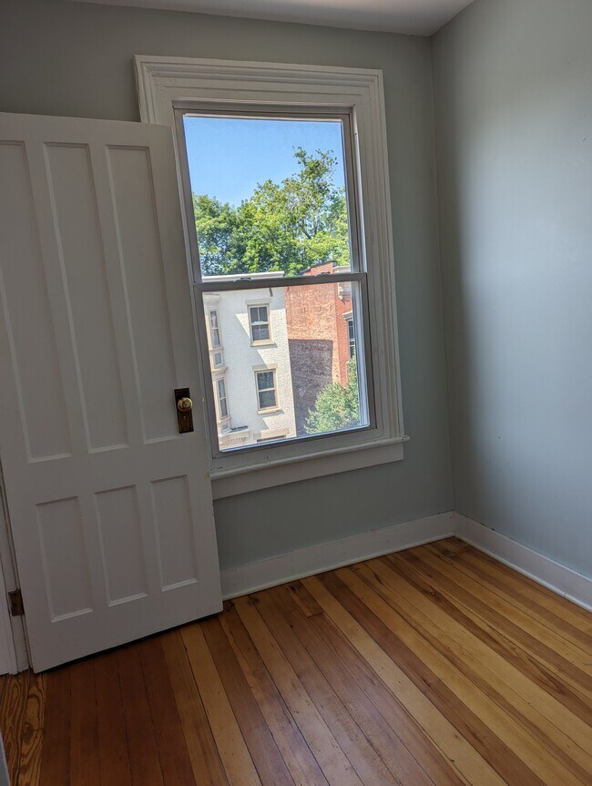 329 Madison Ave unit 3, Albany, NY 12210 - photo 4