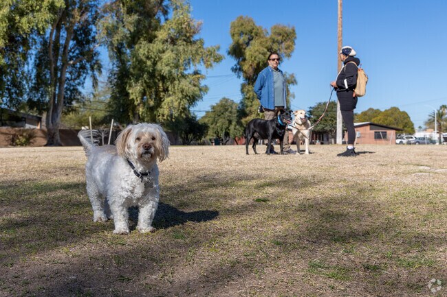 Conner Park is a great neighborhood meetup spot for socializing dogs.
