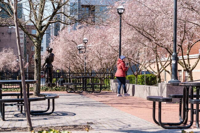 A visitor to downtown Allentown takes time to photograph the cherry blossoms.