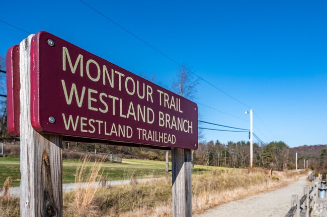 The Westland Branch of the Montour Trail is found running through Mount Pleasant Township.