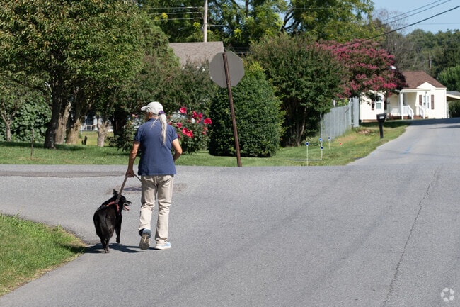 Open spaces and quiet streets make for comfortable walks with family.