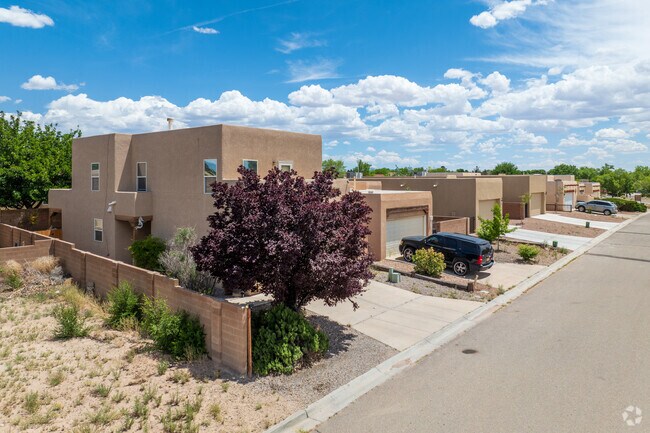 A row of pueblo style homes in Adelino.