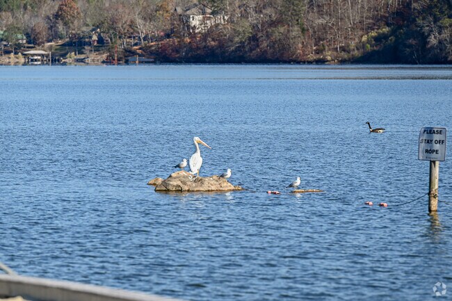 Enjoying bird watching at Ten Island Historic Park in Ragland Alabama.