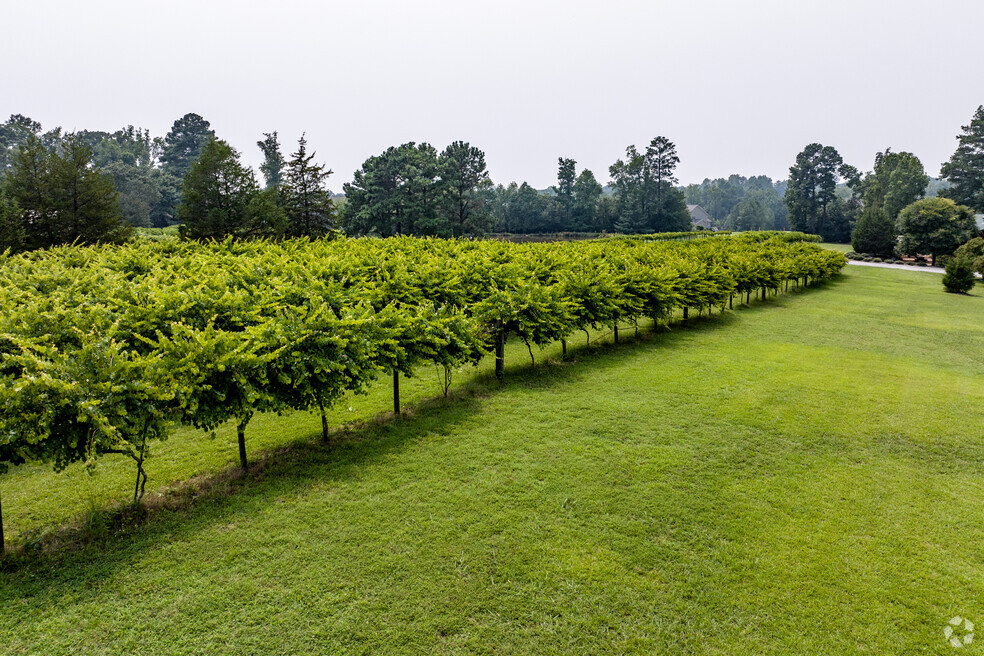 NH_GreenLevel_537496_p2_v2_al_041524