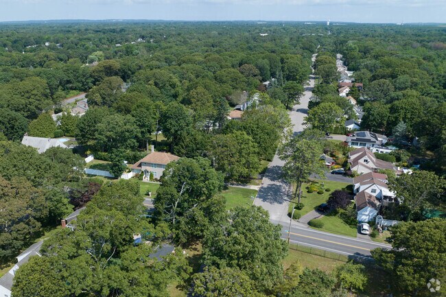 Tree-lined residential streets in Bellport Village, showcasing a peaceful neighborhood setting with well-maintained homes and lush greenery.