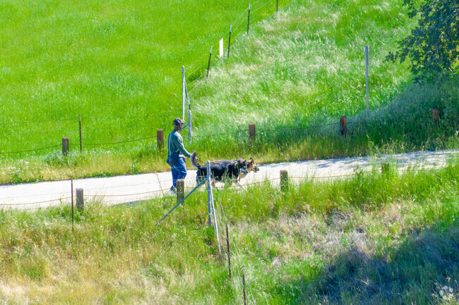 Kavala Ranch has walking paths that residents can enjoy alone or with friends.