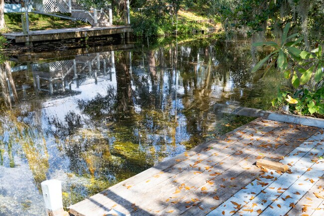 3101 N Canal Dr unit 3101, Palm Harbor, FL 34684 - photo 4