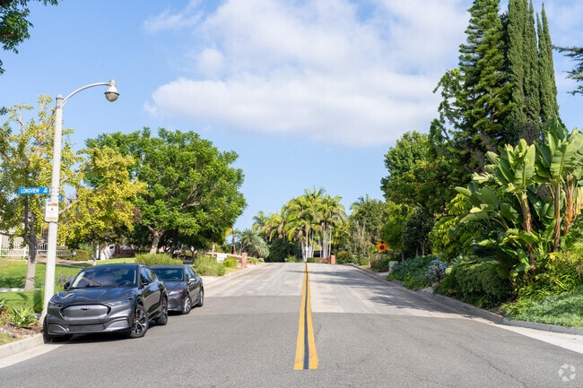 Typical residential street in the Las Palmas Hermosa area of Fullerton, CA are green and well maintained.